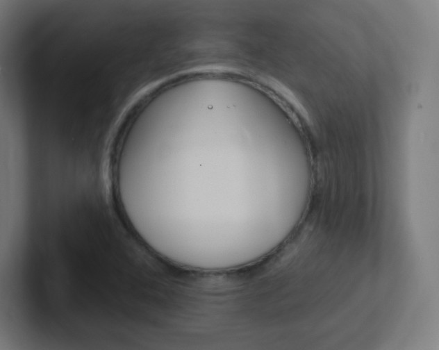 X0000102411408200808011007