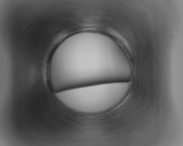 X0000102411411200808011007