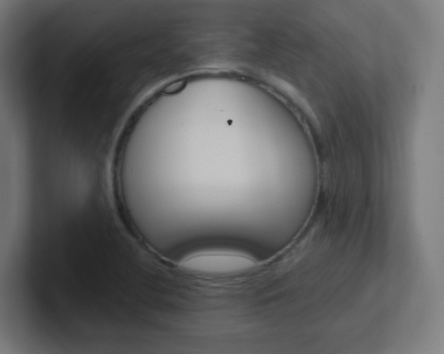 X0000102411412200808011007