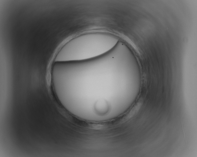 X0000102411413200808011007