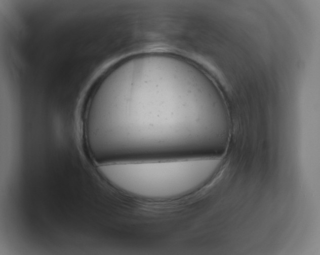 X0000102411414200808011007