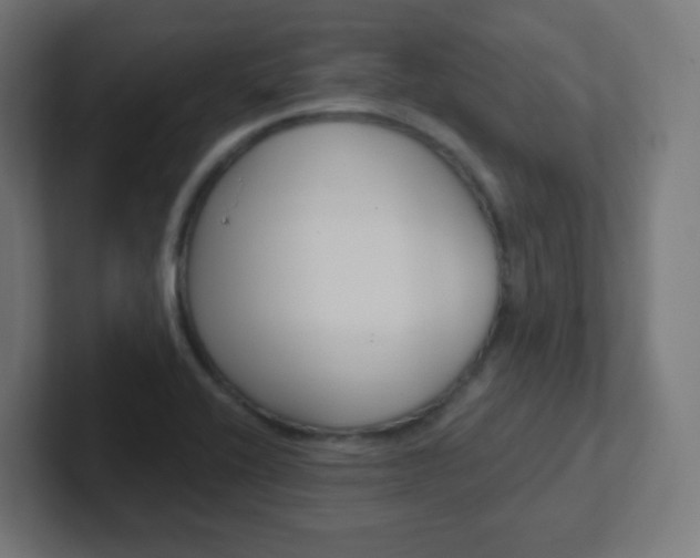 X0000102411416200808011007