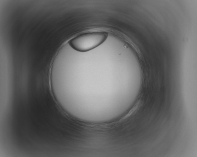 X0000102411417200808011007