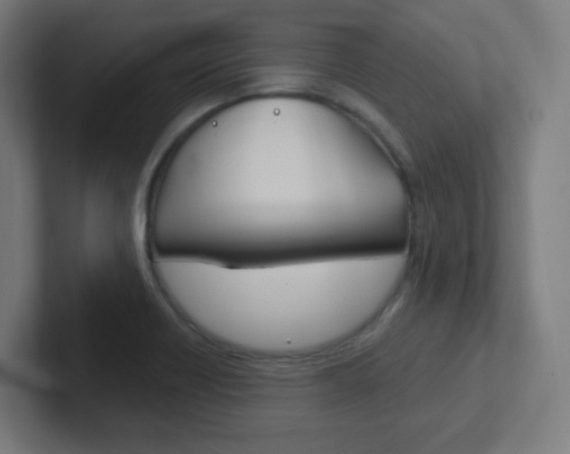 X0000102411418200808011007