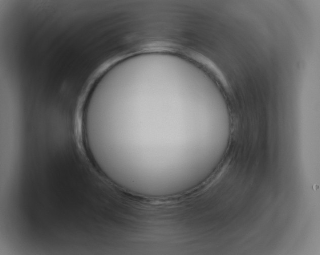 X0000102411419200808011007