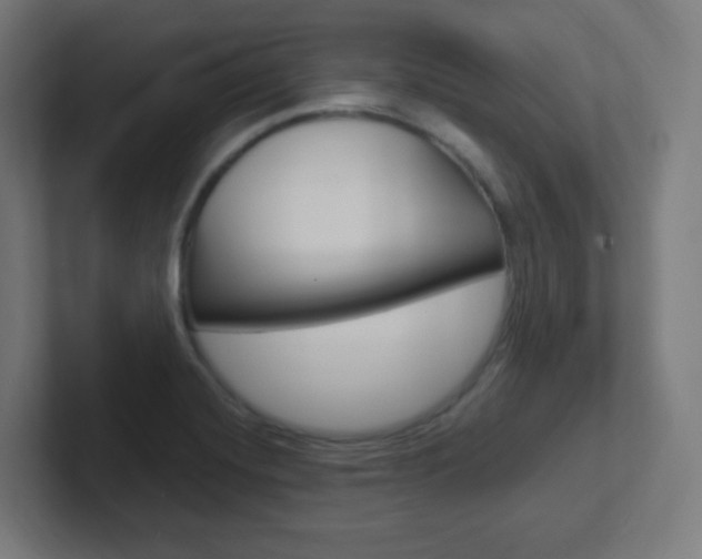 X0000102411420200808011007