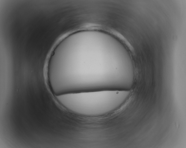 X0000102411421200808011007