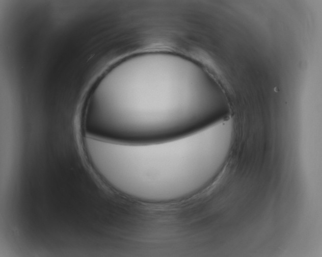 X0000102411422200808011007