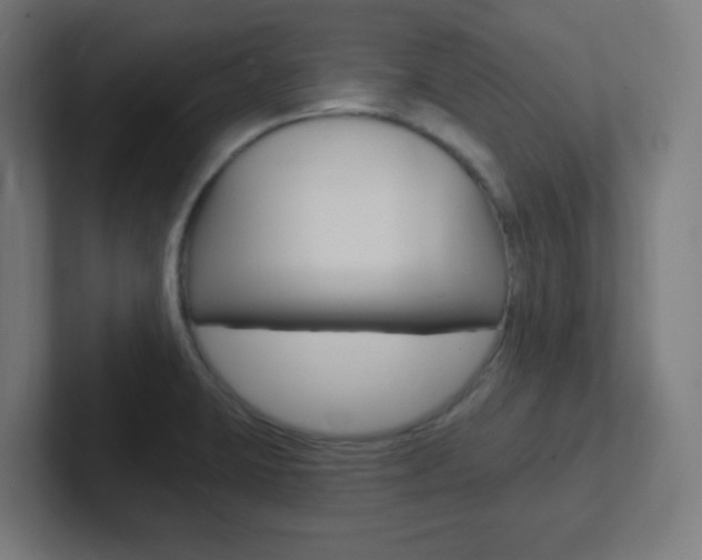 X0000102411423200808011007