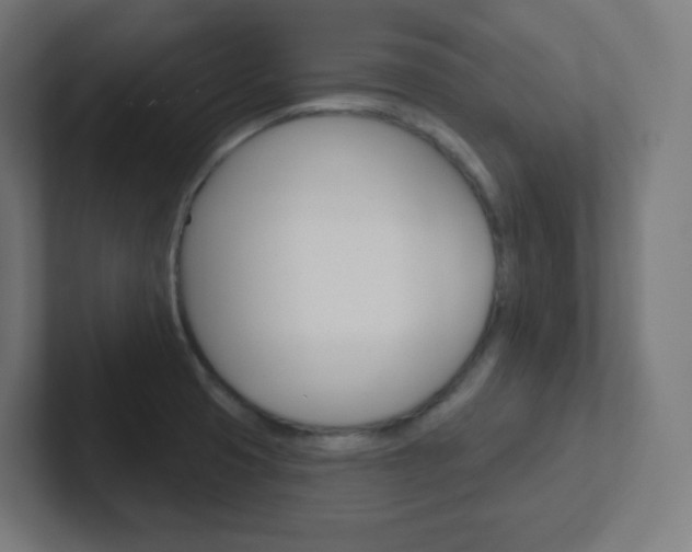 X0000102411425200808011007