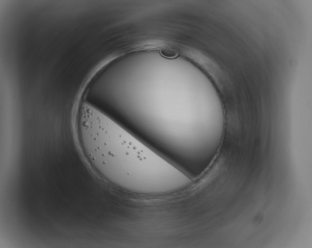 X0000102411426200808011007