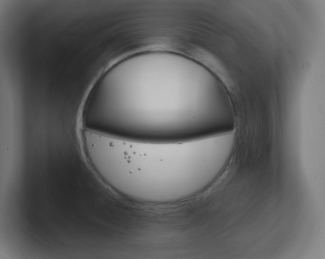 X0000102411428200808011007