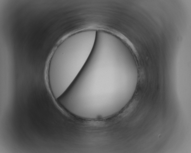 X0000102411429200808011007