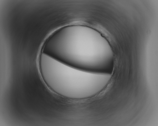 X0000102411430200808011007