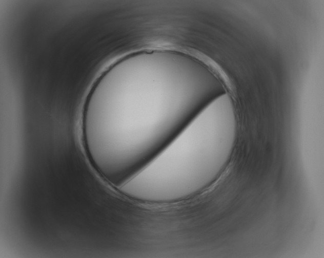 X0000102411432200808011007