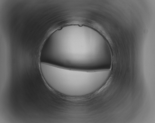 X0000102411433200808011007