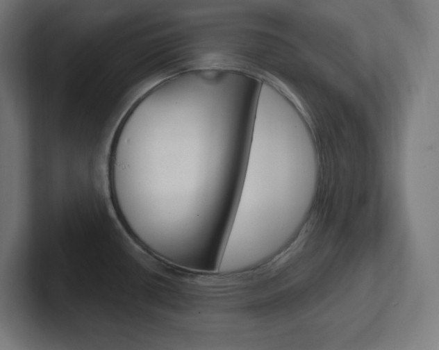 X0000102411434200808011007