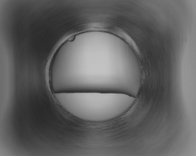 X0000102411435200808011007