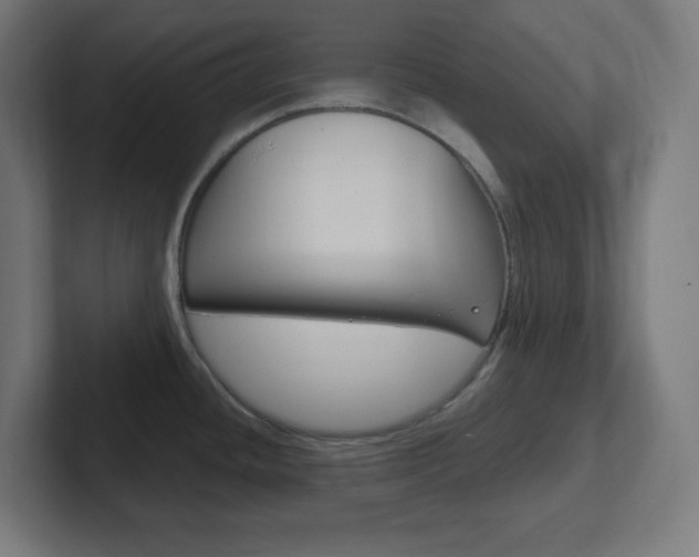 X0000102411436200808011007