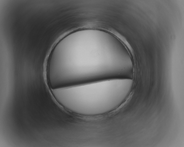 X0000102411437200808011007