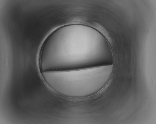 X0000102411438200808011007