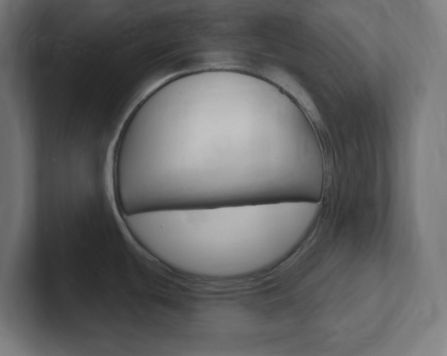 X0000102411439200808011007