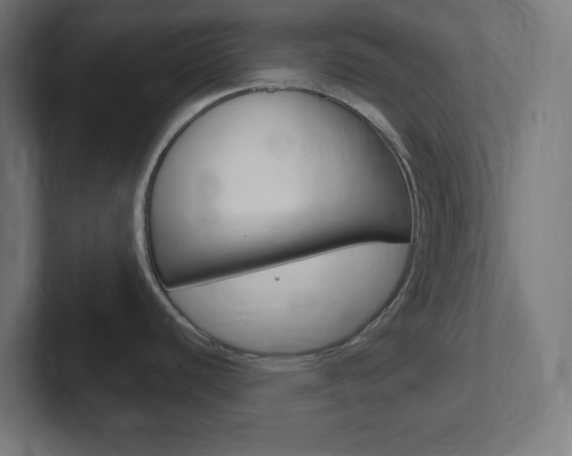 X0000102411440200808011007