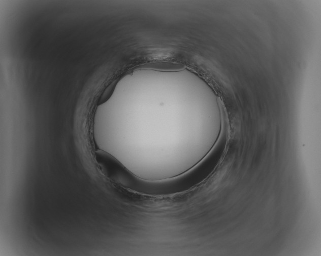 X0000102411441200808011006