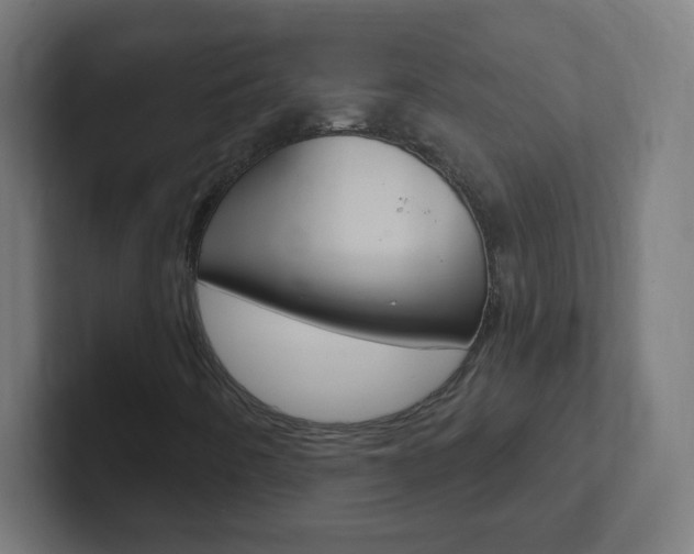 X0000102411442200808011006