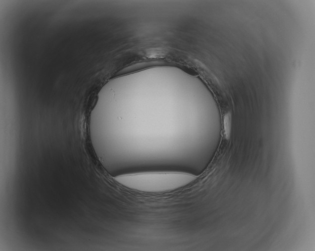 X0000102411443200808011006