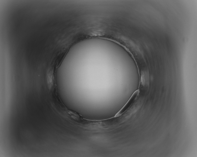 X0000102411444200808011006