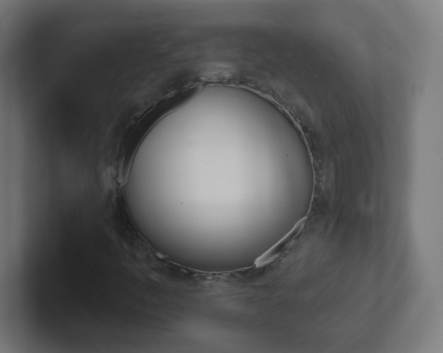 X0000102411445200808011006
