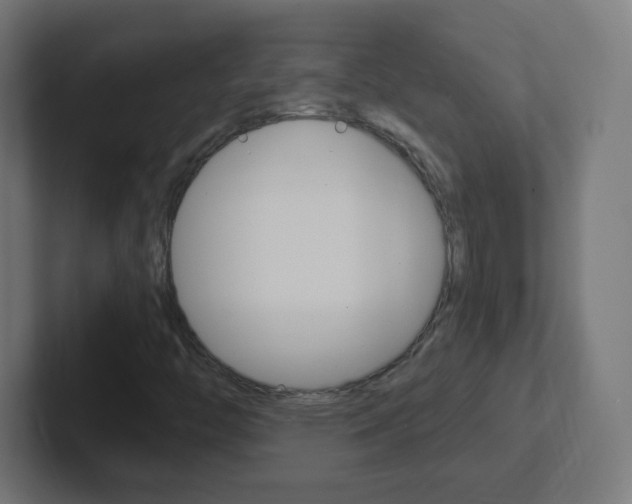 X0000102411446200808011006