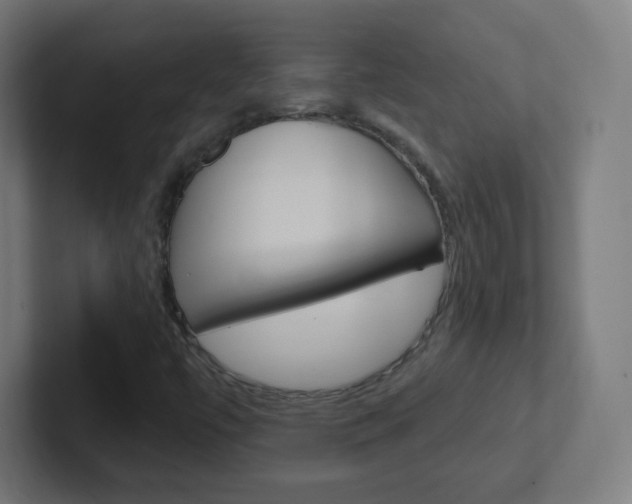 X0000102411447200808011006