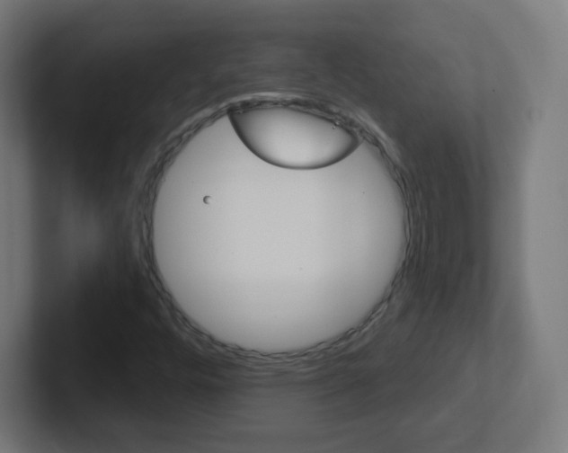 X0000102411448200808011006