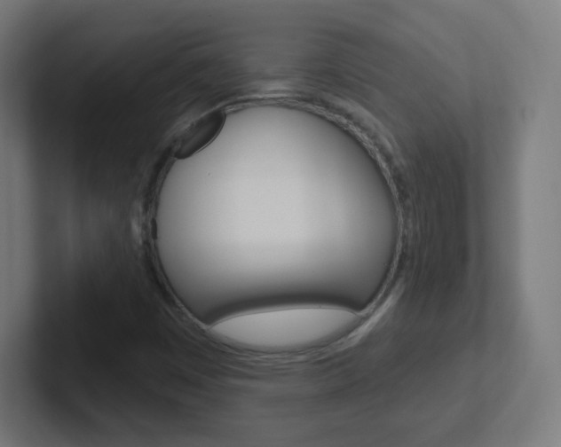 X0000102411449200808011006