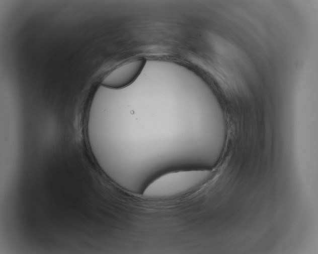 X0000102411451200808011006