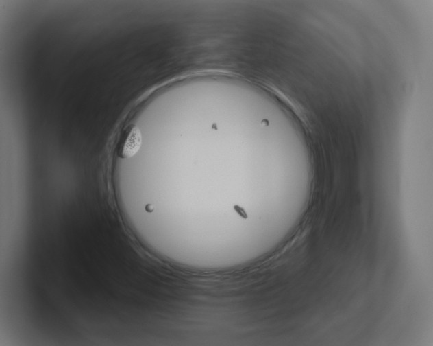 X0000102411452200808011006
