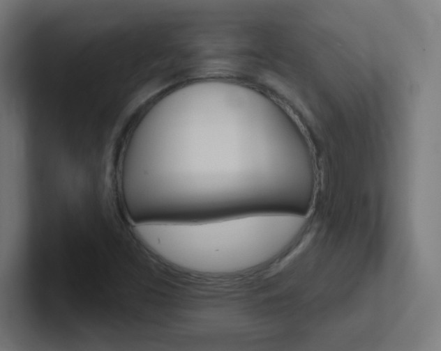 X0000102411453200808011006