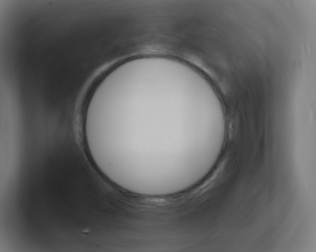 X0000102411454200808011006