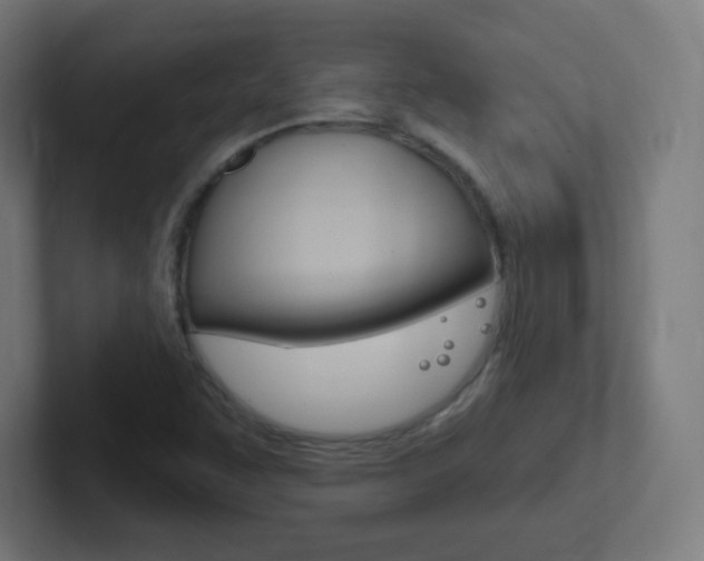 X0000102411455200808011006