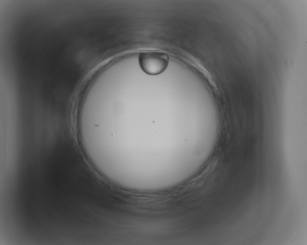 X0000102411456200808011006