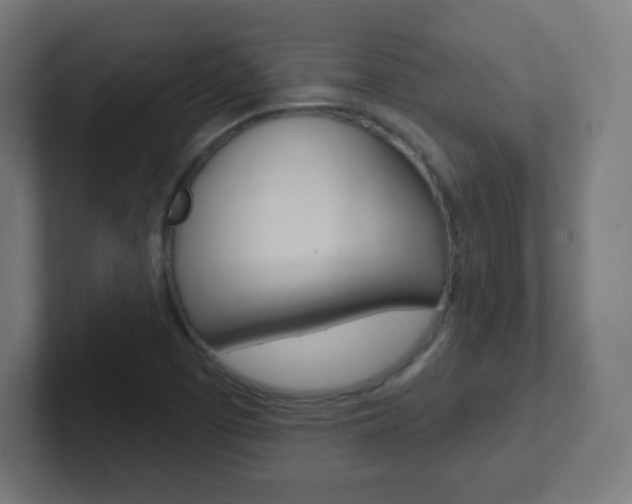 X0000102411457200808011006