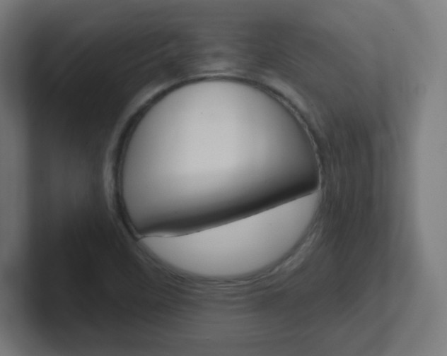 X0000102411458200808011006