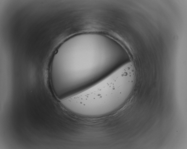 X0000102411459200808011006