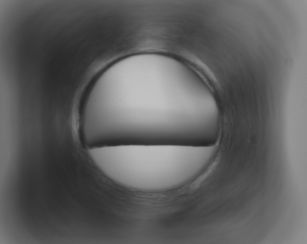 X0000102411461200808011006