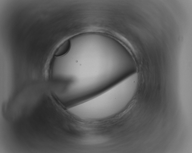 X0000102411463200808011006