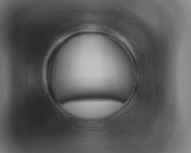 X0000102411464200808011006