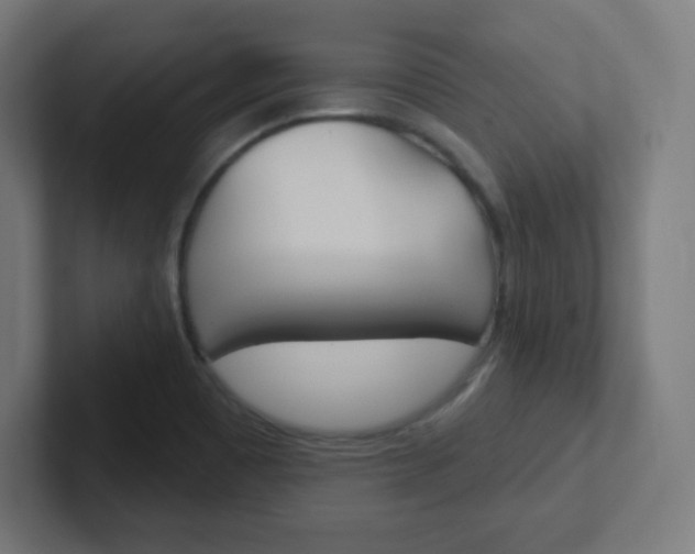 X0000102411465200808011006