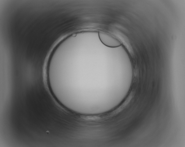 X0000102411466200808011006